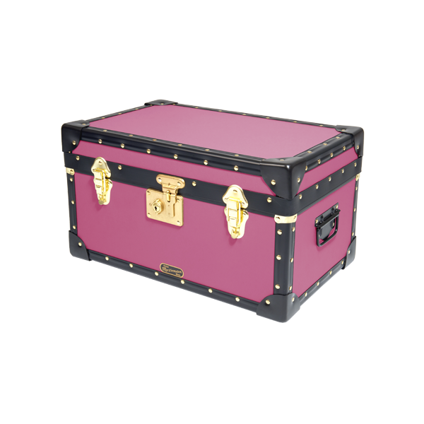 Trunk Storage Box